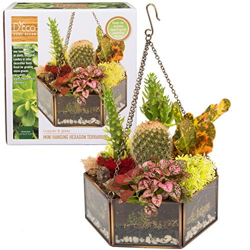 Terrarium DIY Kit Handmade Octagonal Clear Glass Planter Terrarium DIY Kit Handmade Octagonal Clear Glass Planter